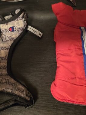 Champion Logo Harness & Red Puffer Dog Jacket Set